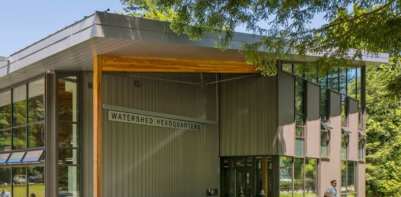  Watershed's Interview Process - A Step-by-Step Guide