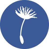 New Economy Coalition logo