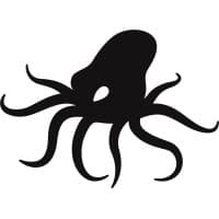 The Starr Conspiracy logo