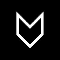 Fox Group International logo